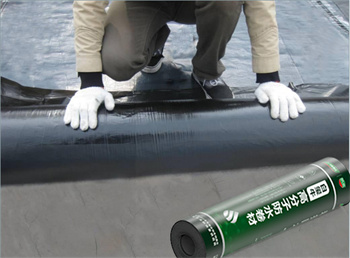 Thermoplastic Polyolefin (TPO) Pre-applied Waterproof Membrane