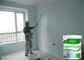 Superior Inorganic Interior Wall Paint