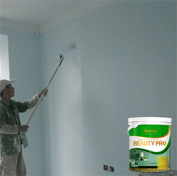 3trees Inorganic Glazed Interior Wall Paint